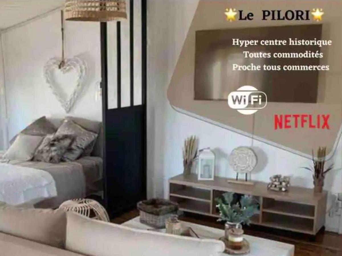 Le Pilori - Centre Historique, En Face Du Musee Du Pilori, A 2Mn A Pied De L'Hyper Centre Et Proche Toutes Commodites, Wifi-Netflix Niort Ngoại thất bức ảnh